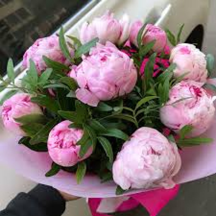 Пион древовидный в Актау