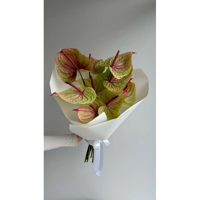 Антуриумы в Актау