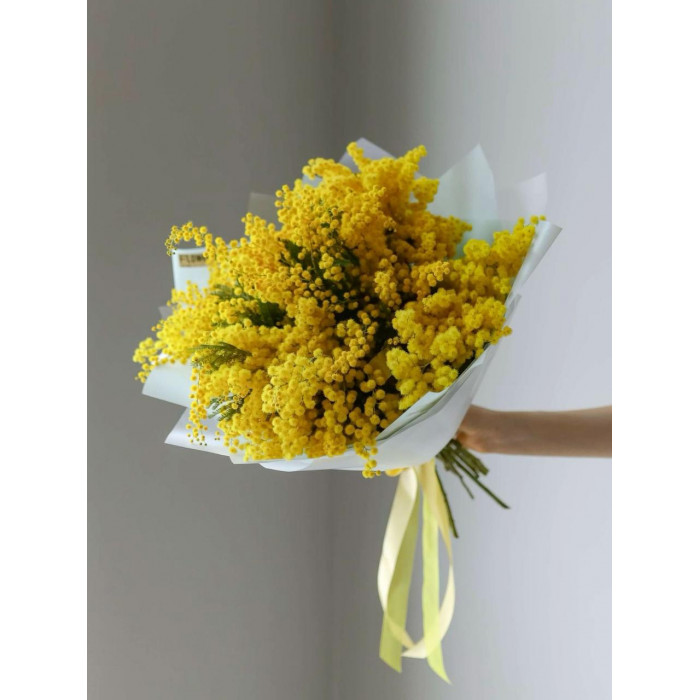 Мимоза в Актау