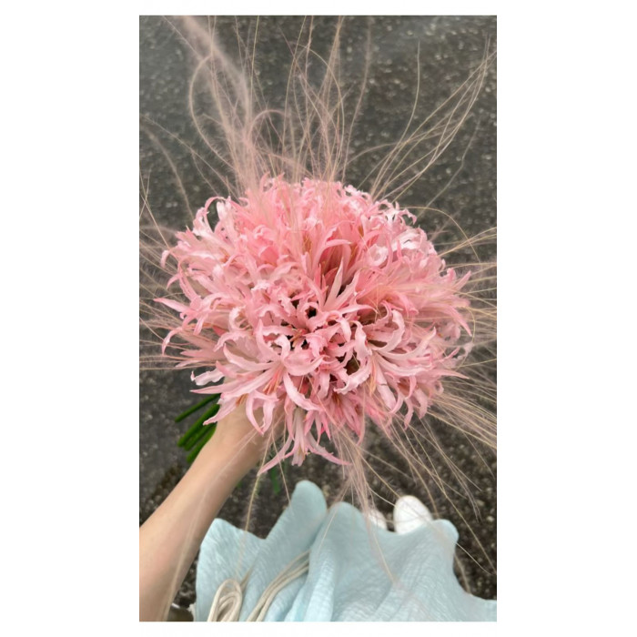 Нерине в Актау