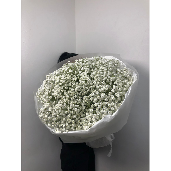 Гипсофила классическая в Актау