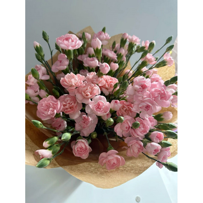 Кустовые гвоздики в Актау