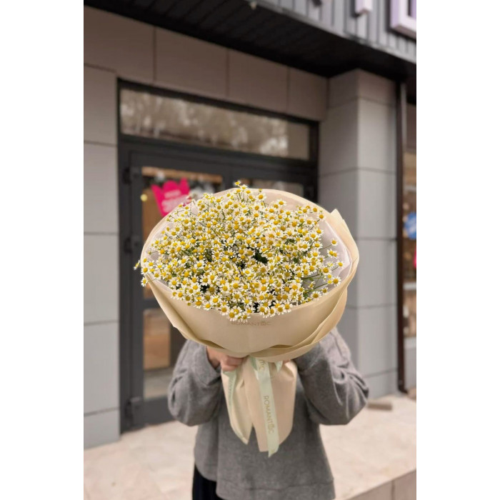 Танацетум в Актау